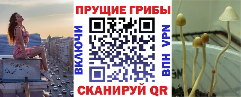 Галлюциногенные грибы GOLDEN TEACHER  цена наркотик  Усть-Лабинск 